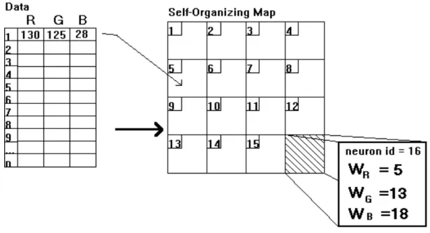 Figura 3.9: Matriz com pesos associados aos neurônios de uma rede SOM. 