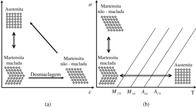 Figura  2.2  -  Representação  esquemática  das  mudanças  de  fase  ocorridas  nas  LMFs:  (a)  diagrama  temperatura-deformação  (adaptado  de  dos  Santos  (2011));  (b)  diagrama   tensão-temperatura (adaptado de Lagoudas (2008))