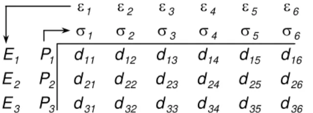 Figura 4.1 - Resumo esquemático das equações piezoelétricas na notação matricial,  segundo Nye (1969)