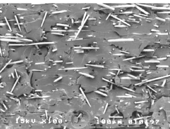 Figura 5.3 - Fotomicrografia da superfície fraturada de um poliuretano reforçado por MFSA  ampliado em 100x (SALIBA Jr., 2003)