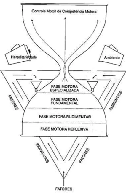 Figura 2 - As fases do Desenvolvimento Motor (Gallahue &amp; Ozmun, 2003, p.110). 