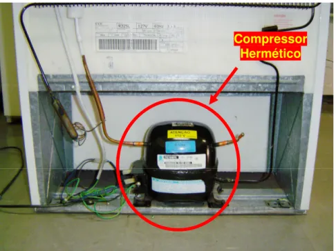Figura 2.2 – Detalhe do compressor hermético do refrigerador doméstico sob estudo. 