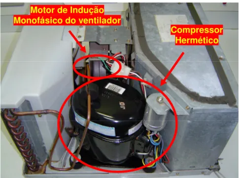 Figura 4.2 – Detalhe do sistema motriz do condicionador de ar sob estudo. 