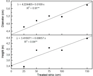 Figure 1 Response of eucalyptus plant diameter and height to  weed herbicide-treated strip width