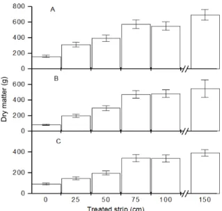 Figure 2. Response of eucalyptus plant diameter and height to  weed herbicide-treated strip width