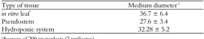 Table 2. Average diameter of protoplasts isolated from 3 different  explants of E. elatior