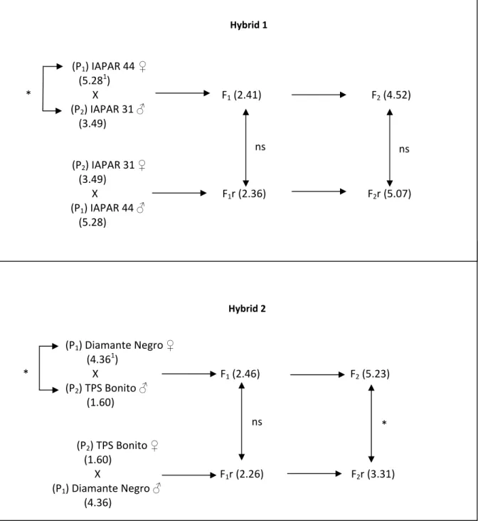 Figure 1. Breeding and selection process schematics for copper concentration of common bean seeds of the IAPAR 44 x IAPAR 31 and  Diamante Negro x TPS Bonito hybrids