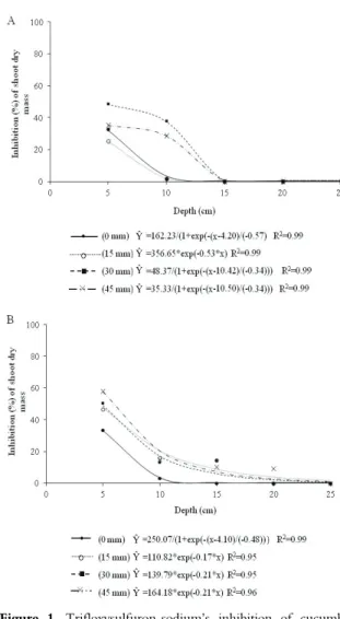 Figure 1. Trifloxysulfuron-sodium’s inhibition of cucumber  shoot biomass as a function of soil depth (% of check) in unlimed  soil (pH 4.2) in Experiment 1 (A) and Experiment 2 (B)