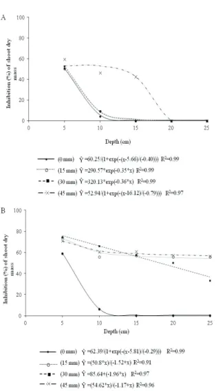 Figure 2.  Trifloxysulfuron-sodium’s inhibition of the shoot fresh  biomass of the cucumber as a function of soil depth (% in relation  to check) in plants grown in limed soils in experiment 1- pH  5.5(A) and experiment 2 - pH 7.2 (B)
