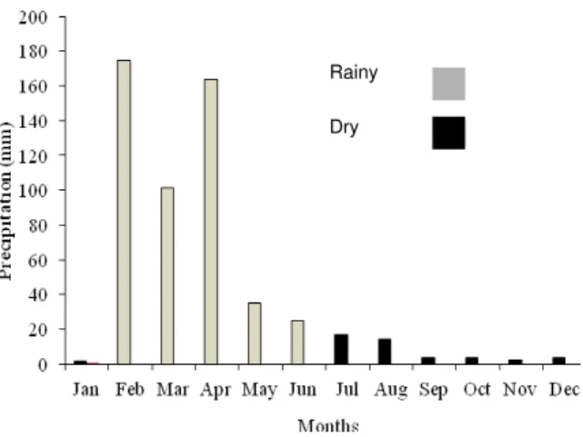 Figure 1. Monthly precipitation recorded in 2007, in Taperoá,  Paraíba State (AESA, 2008)