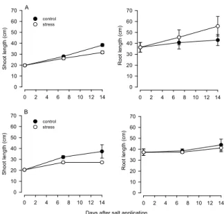 Figure 2. Shoot and root lengths in Exagone (A) and Toccata (B)  grown in hydroponics with a NaCl concentration of 0 (control)  and 100 mM (stress)