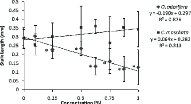 Figure 4. Average values and standard deviation of stalk length  (mm) in the initial development of L