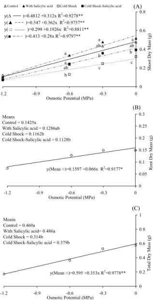 Figure 3. Shoot (A), root (B) and total dry masses (C) of bean  seeds treated with cold shock (7 o C 24h -1 ) and salicylic acid (0.01  mM 48h -1 ), submitted to different osmotic potentials with  mannitol