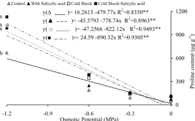 Figure 4. Proline determination in seedlings of bean seeds  treated with cold shock (7 o C 24h -1 ) and salicylic acid (0.01 mM  48h -1 ), submitted to different osmotic potentials with mannitol