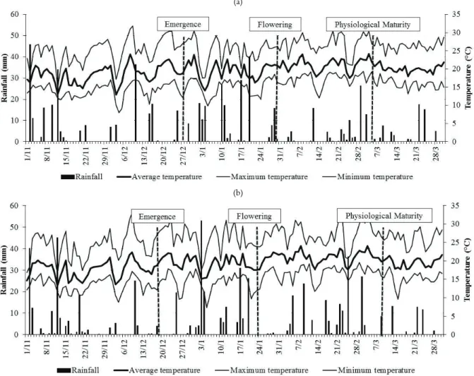 Figure 2. Maximum, average and minimum temperatures and pluvial precipitation for the months of November 2008 through March  2009 in Joaçaba (a) and Lages (b)