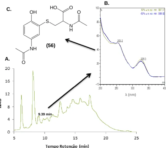 Figura 2.9 – Excerto do cromatograma obtido por HPLC-DAD da mistura reaccional (APAP,  NAC e TvL), ao fim de 2h de reacção (A), Perfil de UV do aducto 56 (B) e Estrutura molecular 