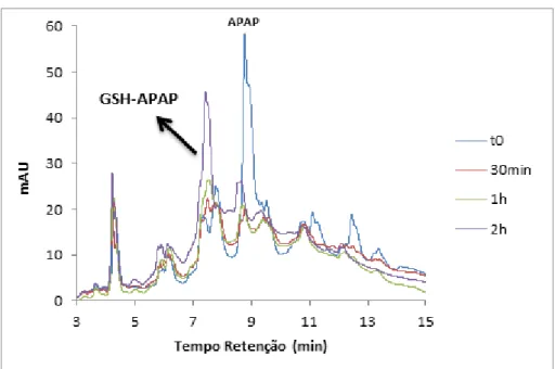 Figura 2.10 – Sobreposição dos cromatogramas obtidos por HPLC-DAD da reacção do APAP  com a GSH, ensaio 1, até 2h