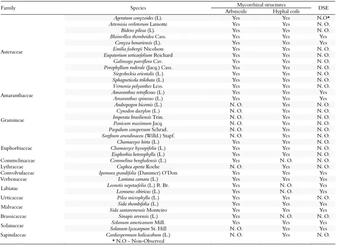 Table 1. Mycorrhizal structures and fungi of the type dark septate (DSE) in the root system of weeds of different botanic families,  collected in the Municipality of Viçosa, Minas Gerais State, Brazil