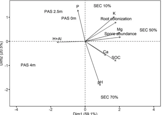 Figure 2. Principal component analysis (PCA) for seven chemical soil variables and two mycorrhizal parameters in soil samples from secondary forest regrowth sites  with different degrees of babassu palm dominance (SEC 10%, SEC 50%, SEC 70%) and from degrad