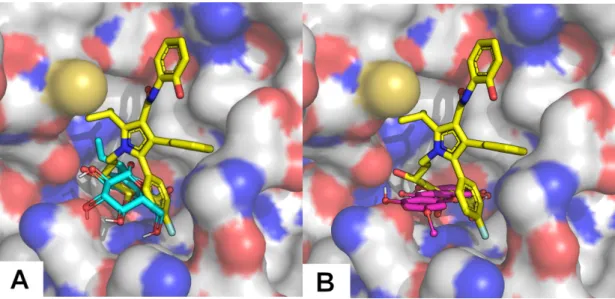 Figure 5. The lowest energy solutions from the docking calculations of a gentiopicroside (cyan—A)  and xanthone 03 (pink—B) overlapped with the crystallographic structure of an atorvastatin  derivative (yellow—1HW9); [53] in human HMGR (white carbons surfa