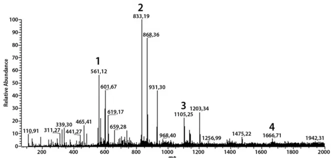 Figure 1. Direct-infusion ESI-IT-MS profile of crude ethanolic extract from Copaifera multijuga stem bark at negative ion ESI mode.