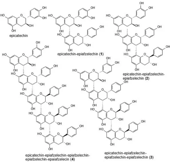 Figure 2 .  Structure of the compounds identified by ESI-IT-MS in crude ethanolic extract from Copaifera multijuga stem bark.