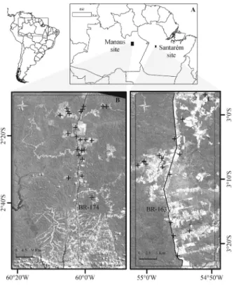 Figure 1. Geographical distribution of the study sites. A. Map of South America  detailing the geographical position of study sites of the REGROWTH-BR project  (rectangles) in Amazonas and Pará states, Brazil