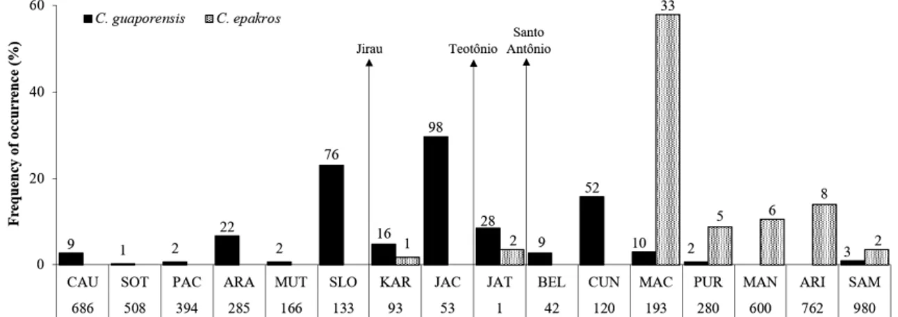 Figure 2. Frequency of occurrence of Chalceus guaporensis and C. epakros in Madeira River tributaries between 2009 and 2013, and the position of the Jirau, Teotônio  and Santo Antônio falls