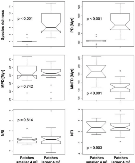 Figure 4. Differences in species richness, measures of phylogenetic diversity and community structure between small and large vegetation patches from Piedra La  Tortuga Natural Monument, Amazonas, Venezuela