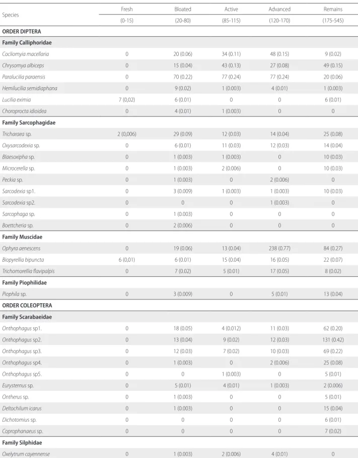 Table 2. Species composition and abundance (considering adult individuals) of Diptera, Coleoptera and Hymenoptera of greatest forensic importance in the cadaveric  decomposition of pigs in a rural area of the Andean Amazon, Caquetá, Colombia