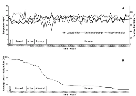 Figure 1. Daily variation of environmental variables (temperature and relative humidity) and carcass decay variables throughout the decomposition period of three pig  carcasses in a rural area of the Andean Amazon, Caquetá, Colombia