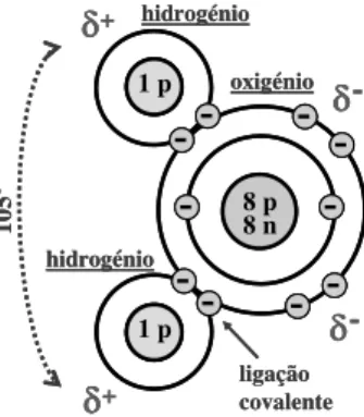 Figura 7.1. Representação esquemática da estrutura da molécula de água. O 