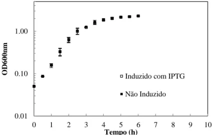 Figura 3-2. Curva de crescimento da estirpe recombinante AH3517, induzida com IPTG e não induzido