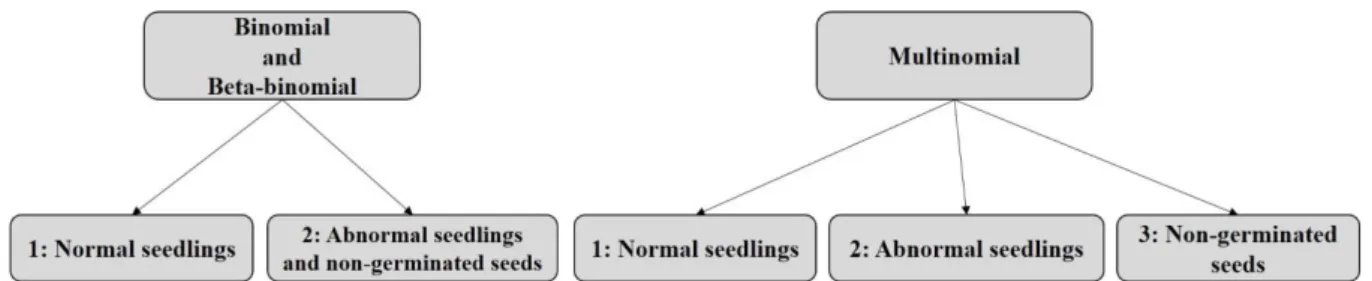 Figure 4. Categorical components from the germination test of Stevia rebaudiana seeds fit to the distribution binomial, beta-binomial  and multinomial