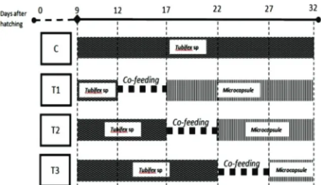 Table 2. Composition of microencapsulated diet for leaching  experimente. 