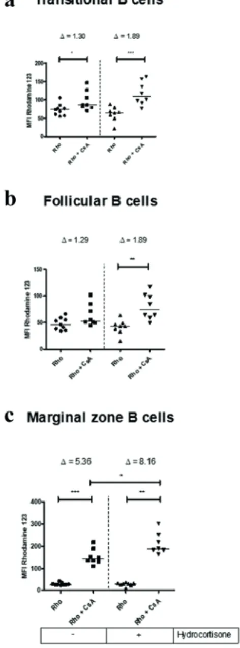 Figure 7 - Effect of  in vivo  treatment with hydrocortisone  on ABCB1 efflux activity of subsets of spleen B cells