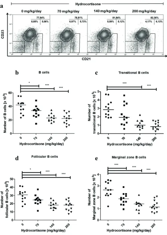 Figure 4 - Effect of  in vivo  treatment with hydrocortisone on subsets of spleen B cells