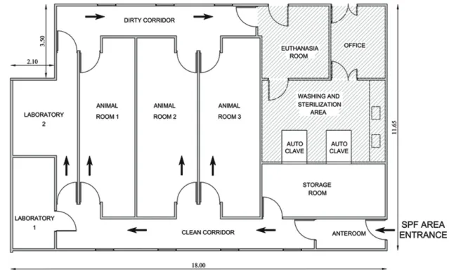 Figure 1 - Floor plan and workflow in the SPF facility. SPF area composed of three animal rooms: 1 = breeding, 2 =  mouse colonies for transgenesis, 3 = experimentation; two laboratories: 1 = animal surgery and embryo manipulation,  2 = embryo micromanipul