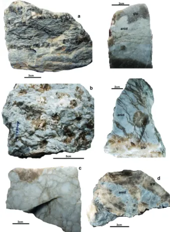 Figure 6 - Samples of evaporites of the Ipubi Formation. a)  Sample of massive anhydrate (anid), showing light brown  branching veins of fine gypsum (gip) (diagenetic); b) sample of  nodular anhydrite with diagenetic recrystallized gypsum veins  and rosett