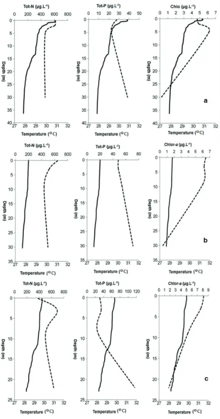Figure 5 - Vertical profile of chlorophyll -a, phosphorus and nitrogen concentrations in  station 7 (location in Figure 1) in the Castanhão reservoir, NE Brazil