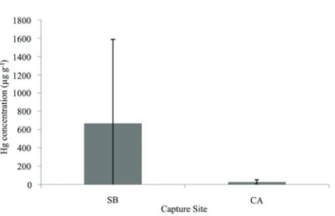 Figure 2 - Total Hg content (µg g -1  dry weight ± SD) in the  fur of jaguars by capture site