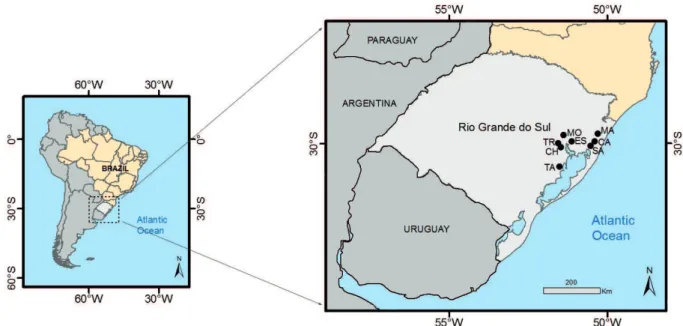 Figure 1  - Location of the seven monitored cities (CA, MA, SA, CH, TR, ES and MO) and the city where lichen samples of  Parmotrema tinctorum were collected (TA) to be later exposed to monitor air pollution
