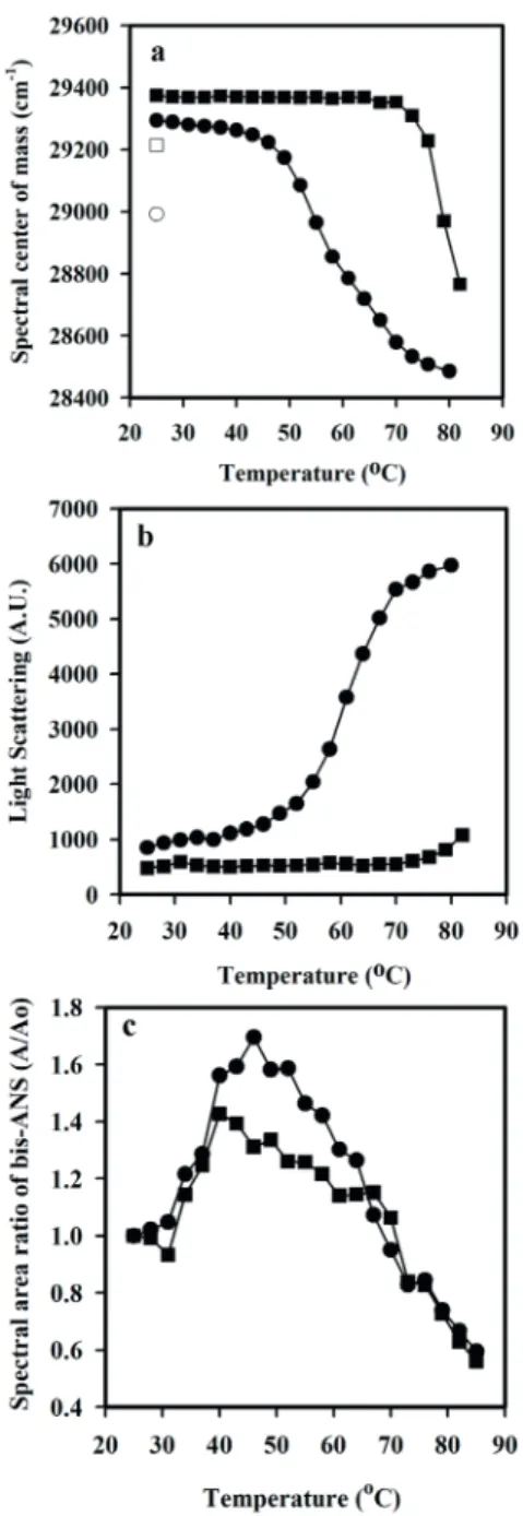 Figure 2 - rPsaA temperature effect in presence of 50 μM Zinc  (square) and absence of Zinc (circle)