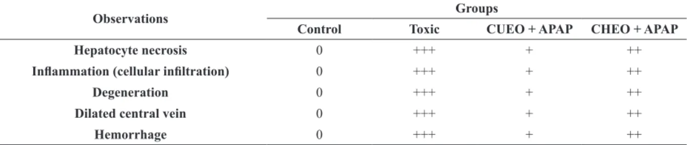 TABLE III 