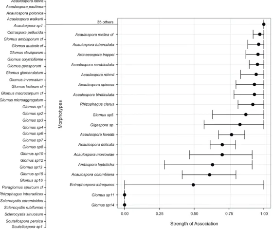 Figure 3 – Strength of association between occurrence of morphotypes from fi eld samples as revealed by  the “A” component of the indicator value index, varying from 0 to 1.0