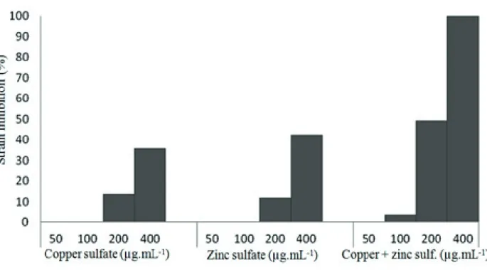 Figure 1 - In vitro sensitivity of Xanthomonas euvisatoria strains from pepper to copper sulfate, zinc sulfate and a mixture of  copper and zinc sulfates.