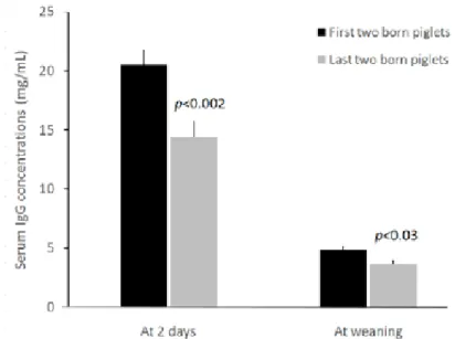 Figure 4. Serum IgG concentrations (±se) of piglets at 2d of age and at weaning at  28d of age