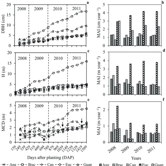 Figure 4 - Growth and mean annual increment (MAI) of diameter at breast height (DBH; a and  b), height (H; c and d) and mean crown diameter (MCD; e and f) of tree species angico (Ang),  bracatinga (Brac), canafístula (Can), eucalypt (Euc) and guapuruvu (Gu