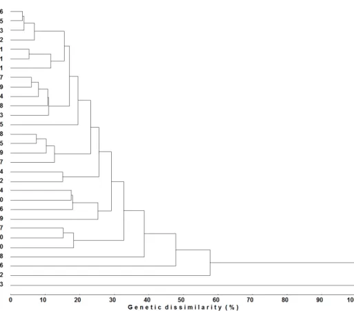 Figure 2 shows the standardized means for  morpho-agronomic traits in each group formed by  Tocher’s optimization method