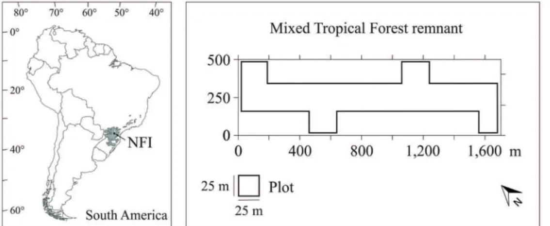 Figure 1 - Mixed tropical forest natural distribution and National Forest of Irati (NFI) in the Southern  region of Brazil, South America.